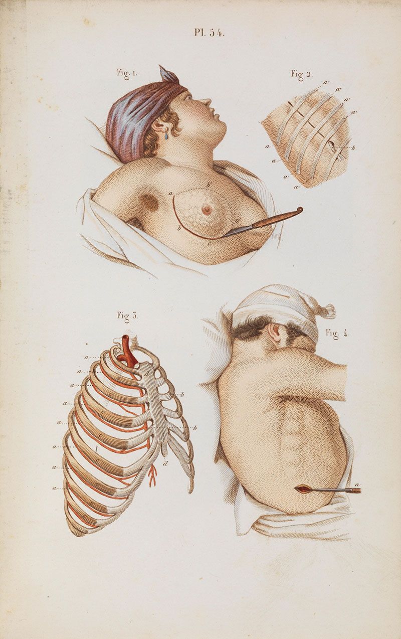 Claude-Bernard_Wellcome-Collection